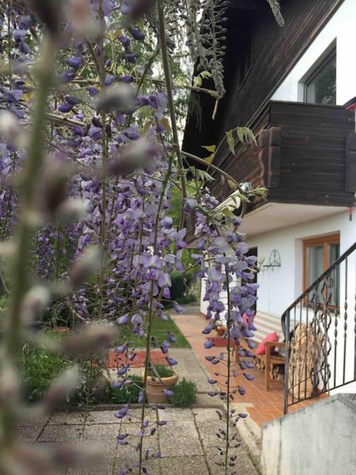 Charmantes Landhaus Mit Garten Und Traumhaftem Fernblick Thal  Exterior photo
