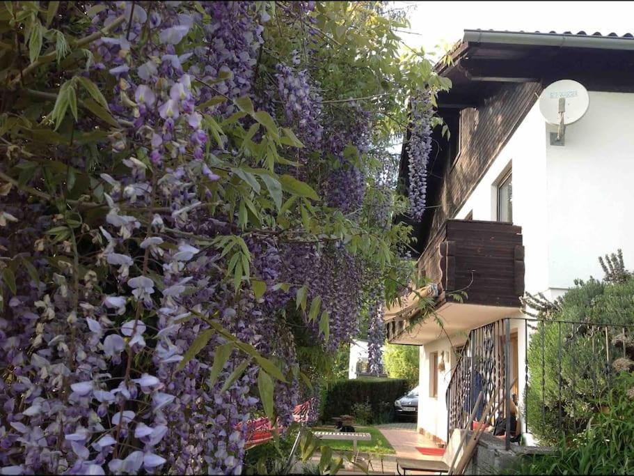 Charmantes Landhaus Mit Garten Und Traumhaftem Fernblick Thal  Exterior photo