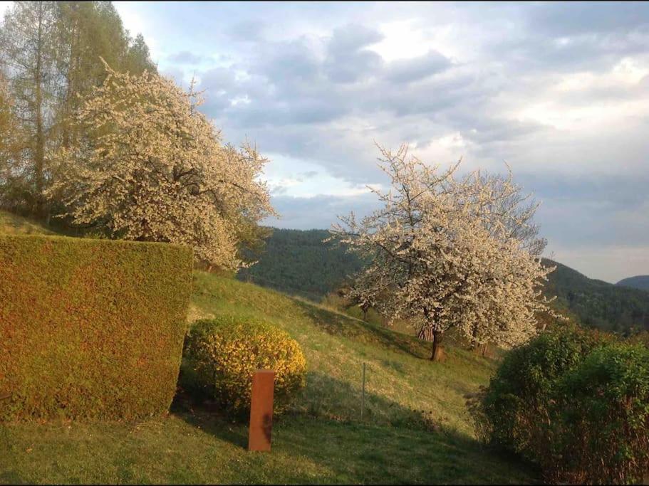 Charmantes Landhaus Mit Garten Und Traumhaftem Fernblick Thal  Exterior photo