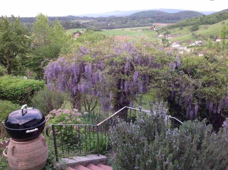 Charmantes Landhaus Mit Garten Und Traumhaftem Fernblick Thal  Exterior photo