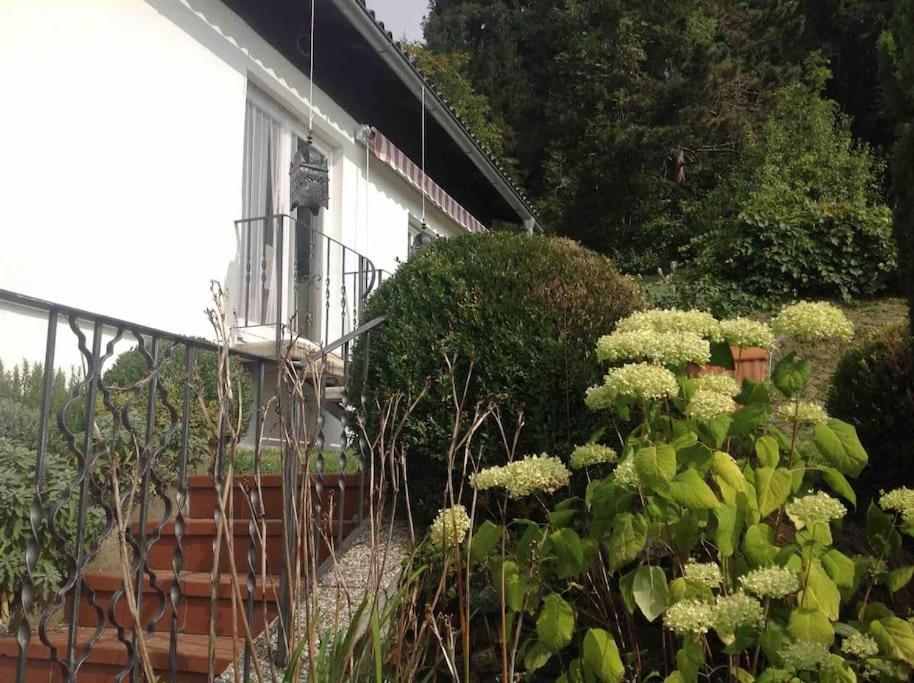 Charmantes Landhaus Mit Garten Und Traumhaftem Fernblick Thal  Exterior photo